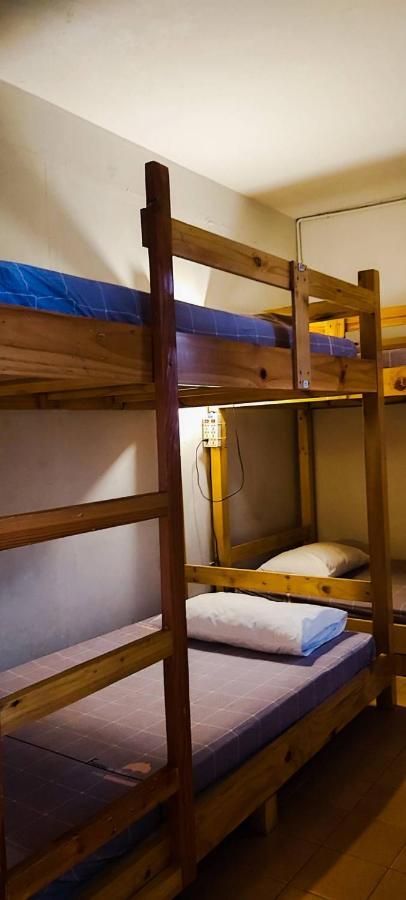 Bed 6-Bed Mixed Dormitory Room,135587883:JPEG