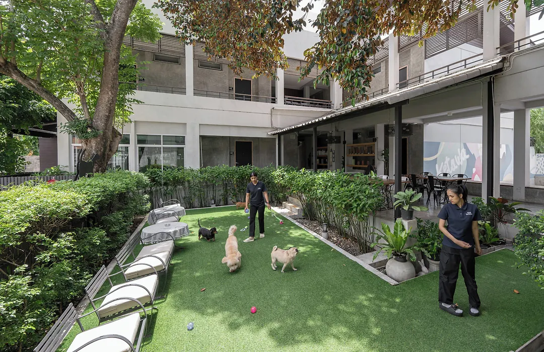 Ketawa Pet Friendly Hotel-1