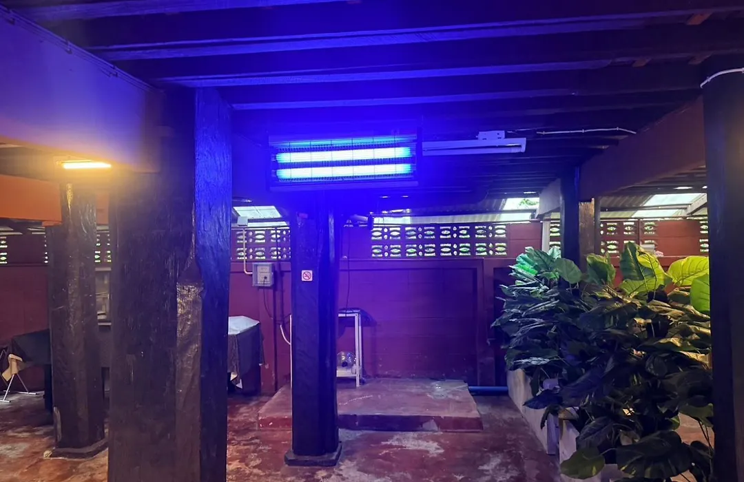 Donpin8-Timeless House Chiang Mai-1