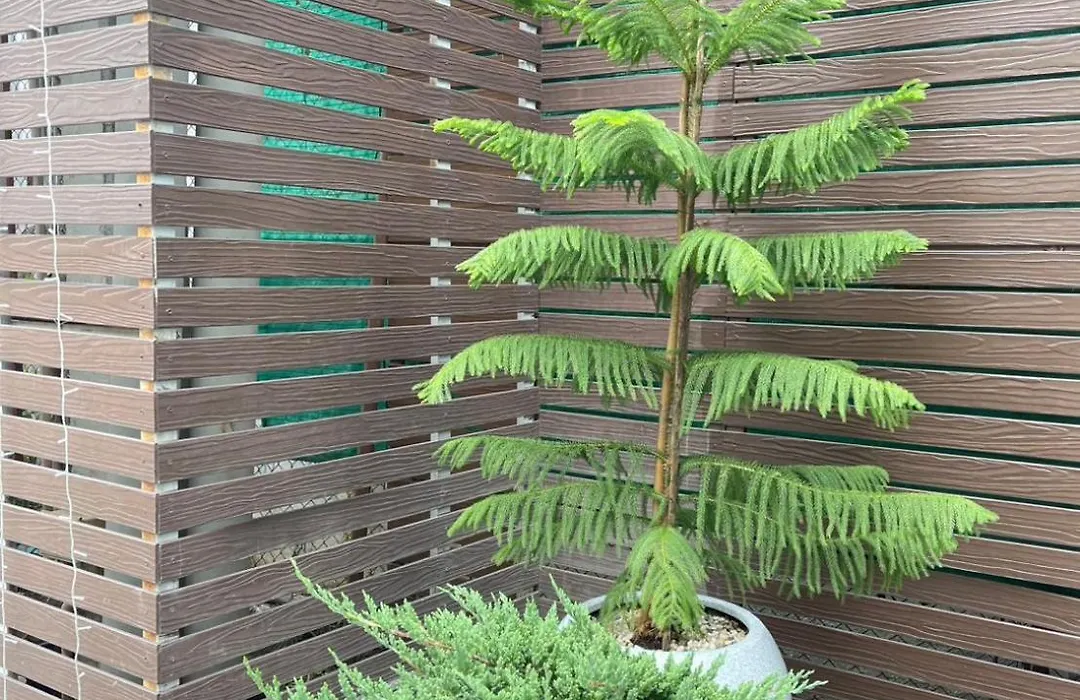 Thapaeplacehotel-1