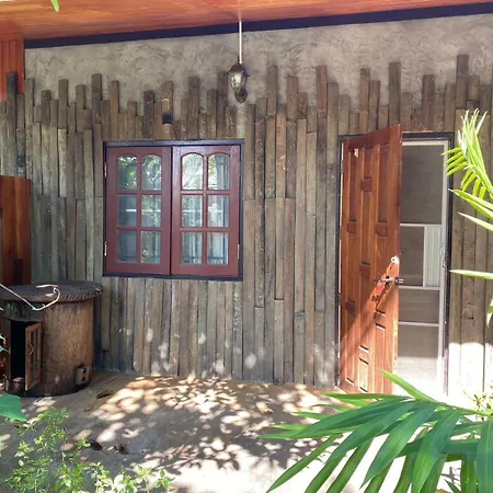 Tasana Garden Saraphi ทาซาน่าการ์เด้น สาขาสารภี-3