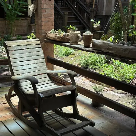 Cozy Nest Cnx-3