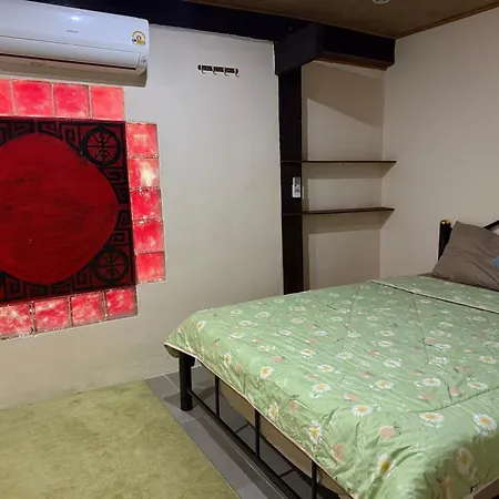 Cozy Nest Cnx-2