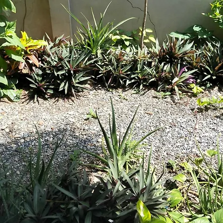 Baba Pim Villa-2