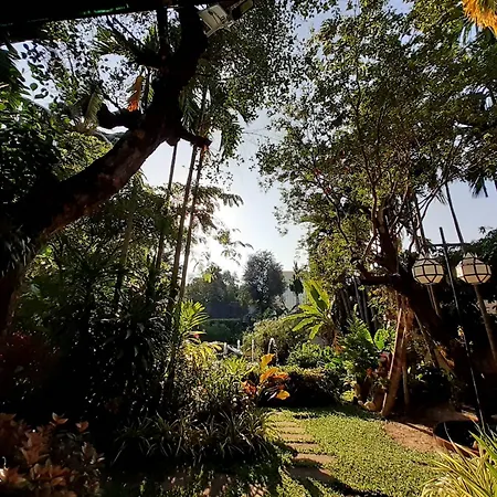 Viang Thapae Resort-3