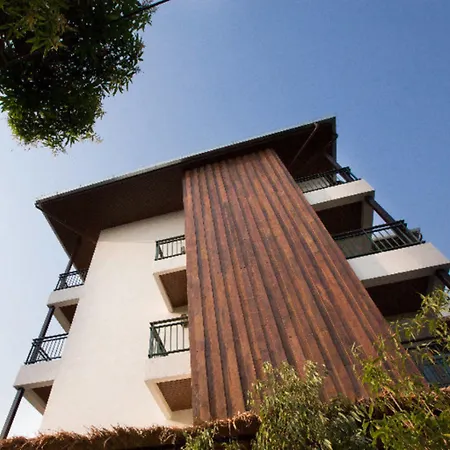 Green Tiger House-2
