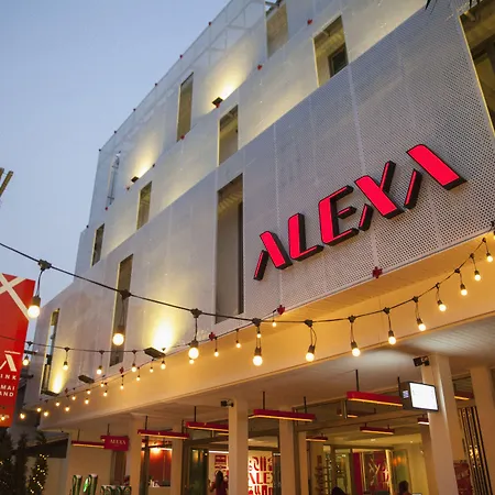 Alexa Nimman-3