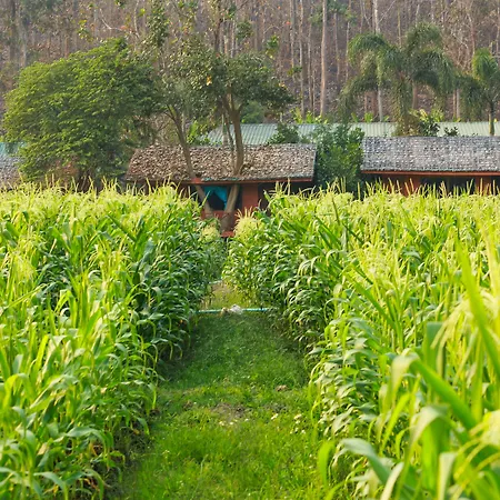 Karen Eco Lodge-2