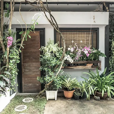 Villaberry Nimman Chiang Mai-3