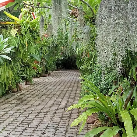 Ouychai Resort Home Stay-2