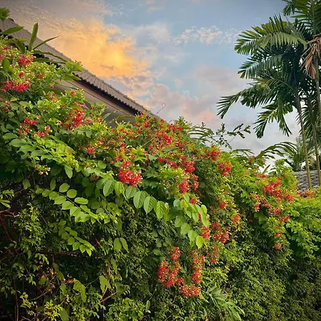 Shewe Wana Boutique Hotel (Adults Only)-3