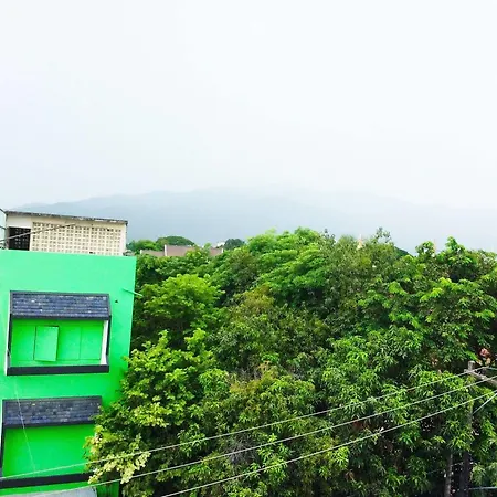 Mint House-3