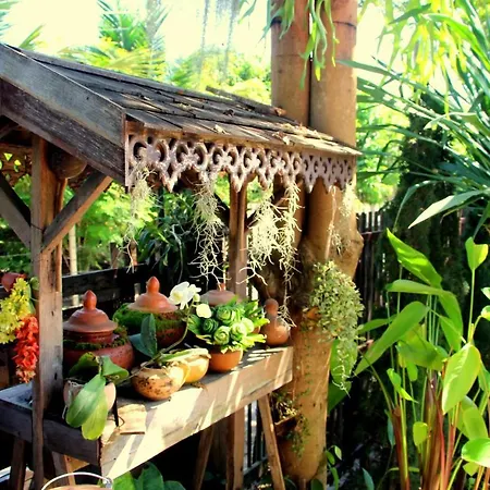 Stay With Brite The Home-Stay In Chiang Mai-3