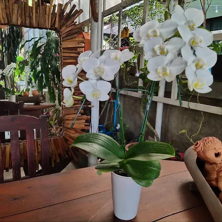 Aunt & Uncle'S House-2