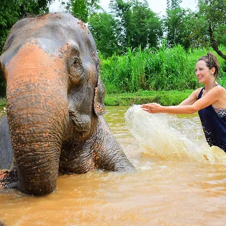Elephant Retirement Park-2