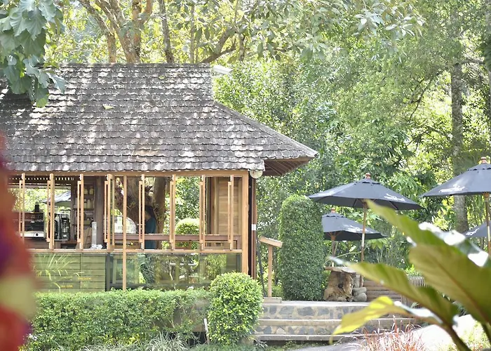 32 Coffee Hill & Resort Chiang Mai